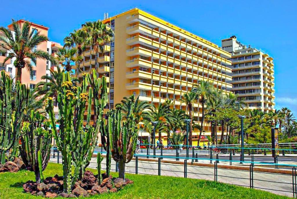 Acogedor Estudio En Martianez Puerto de la Cruz  Dış mekan fotoğraf